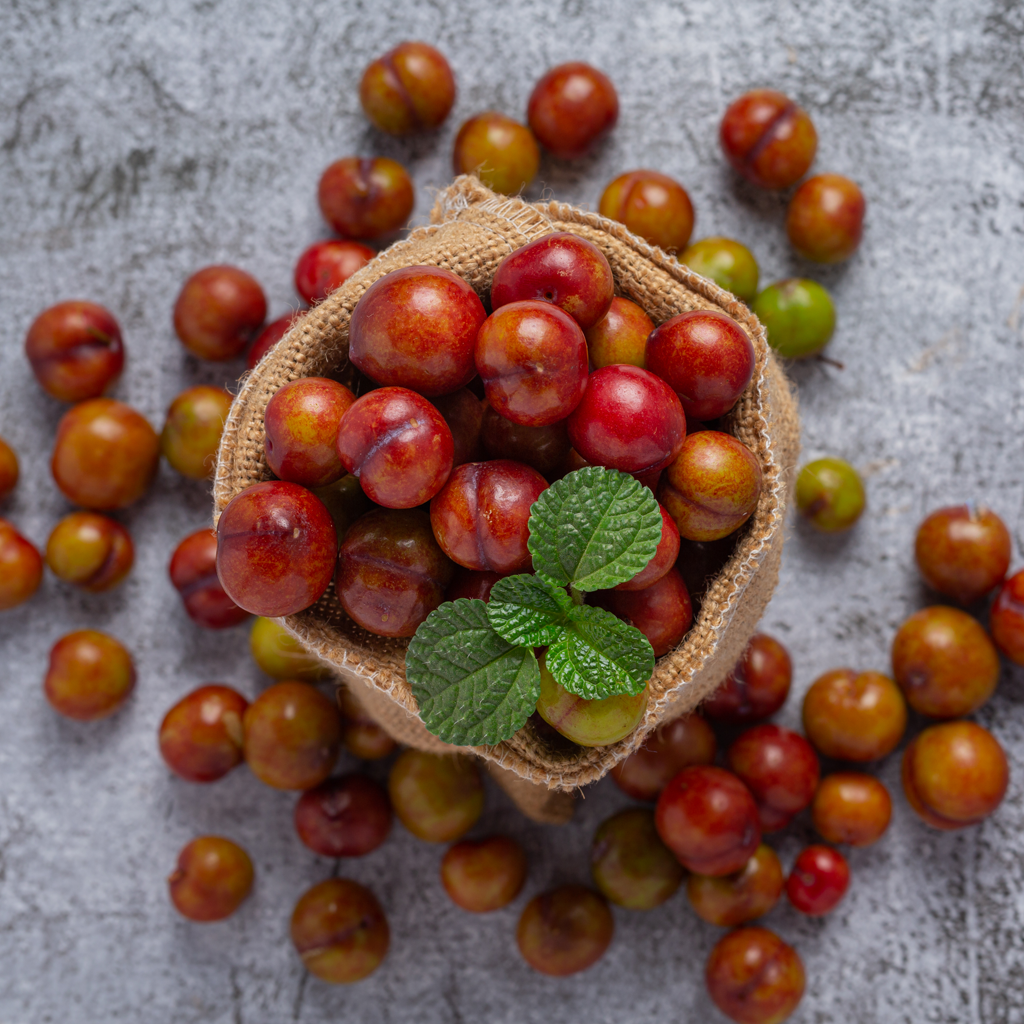 guarana fruit